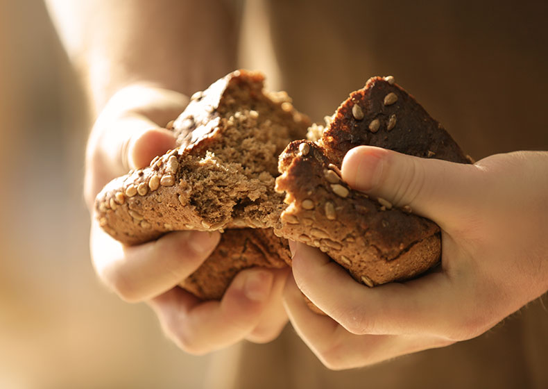Giornata per la Custodia del Creato: torniamo al gusto del pane